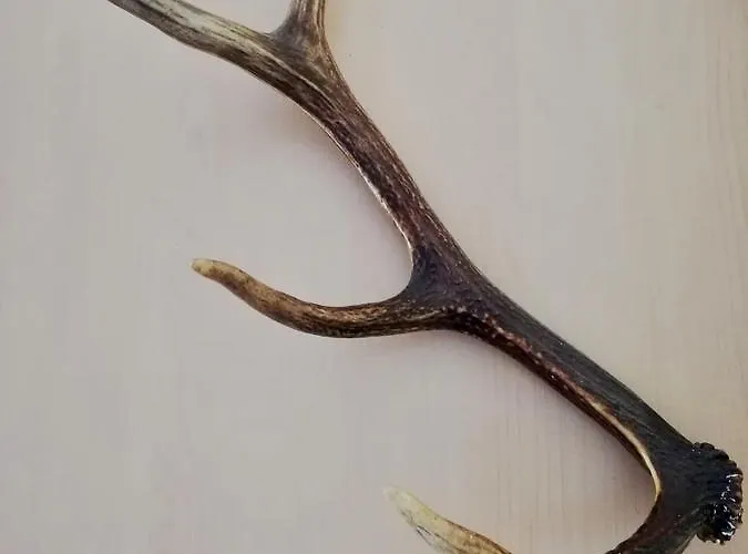 Мини-отель Jerolitsch Крумпендорф