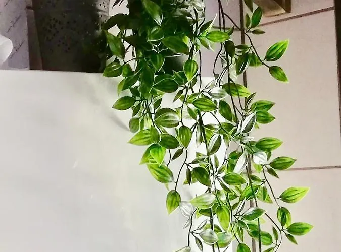 Jerolitsch אורחן קרומפנדורף