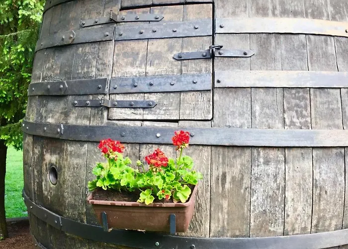 Мини-отель Jerolitsch 3*